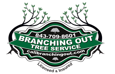 Branching Out Tree Service Logo