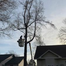 goose-creek-tree-service 7