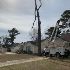 goose-creek-tree-service 6