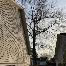 goose-creek-tree-service 5