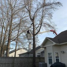 goose-creek-tree-service 4