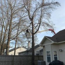 goose-creek-tree-service 4