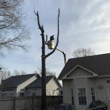 goose-creek-tree-service 3