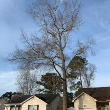 goose-creek-tree-service 2