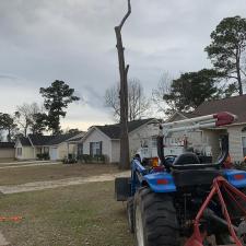 goose-creek-tree-service 1