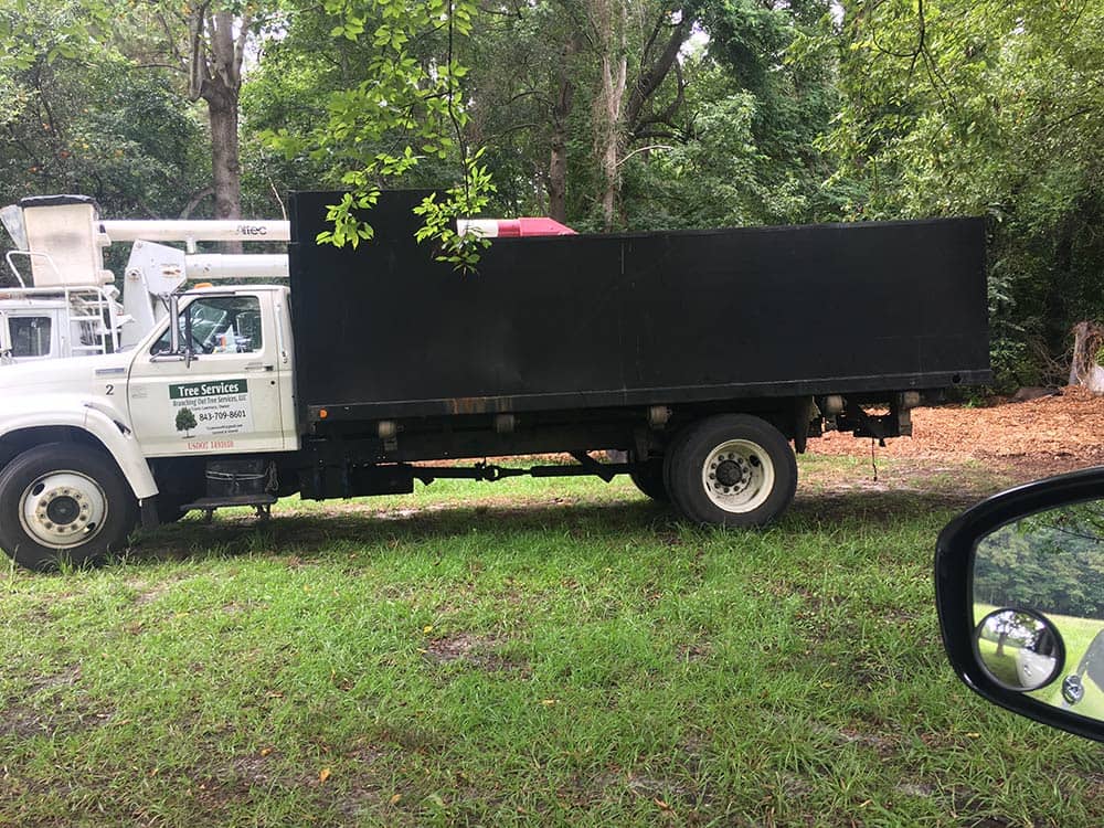 Summerville Tree Trim Service Thumbnail