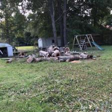 tree-removal-division-st-moncks-corner-sc 3