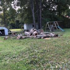 tree-removal-division-st-moncks-corner-sc 3