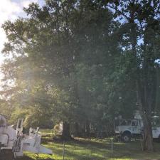 tree-removal-division-st-moncks-corner-sc 0