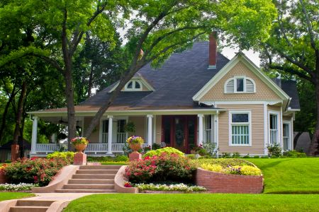 How Tree Trimming Can Save Your Roof