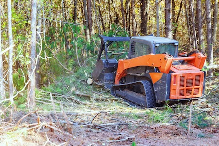Why Is Professional Brush and Land Clearing Better Than Doing It Yourself?
