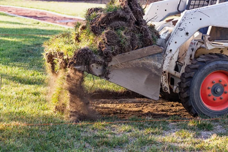 Why You Should Always Hire A Pro For Brush & Land Clearing