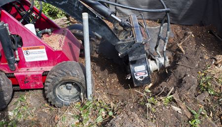 Stump Removal